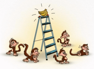 5 Monkeys Experiment