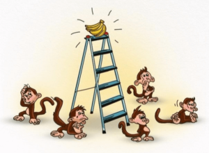 5 Monkeys Experiment: Dysfunctional Herding