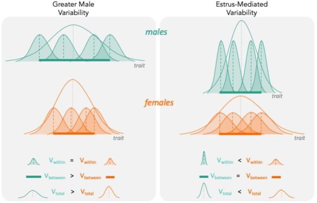 Greater Male Variability Hypothesis - Richard Coward